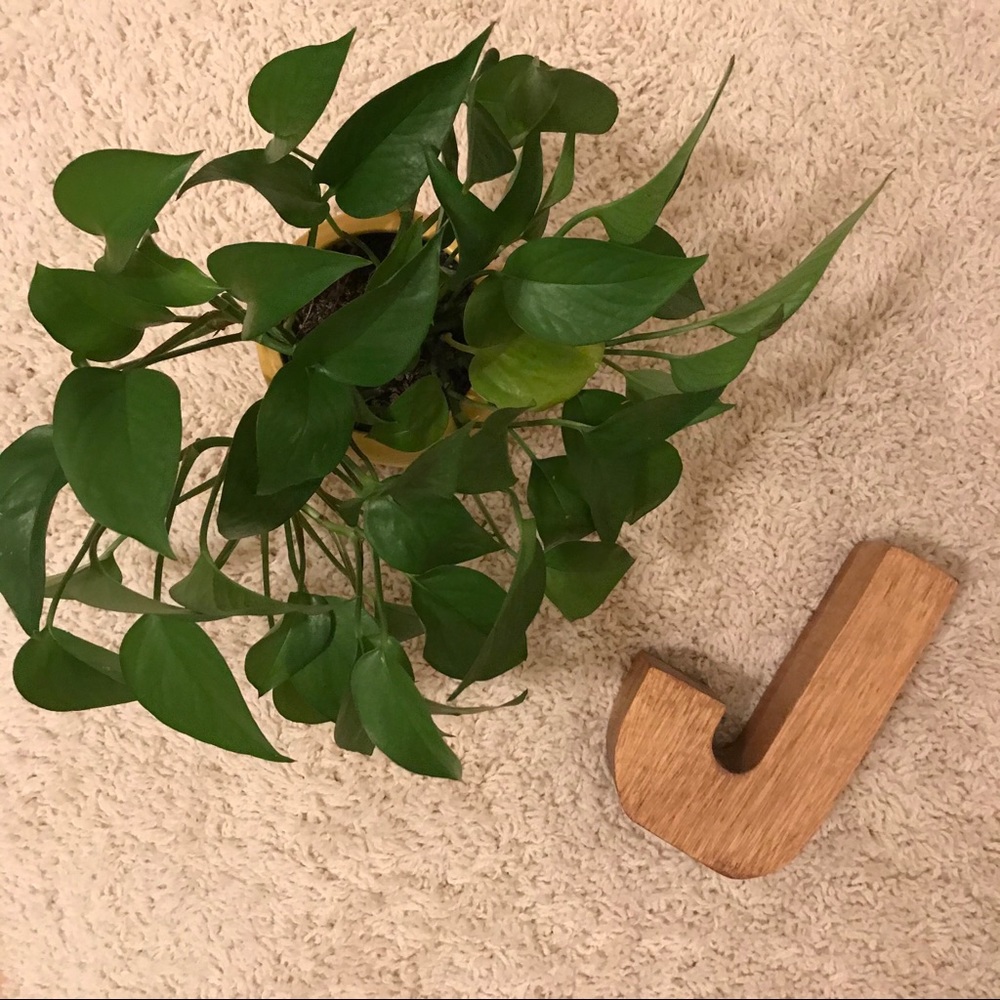 ✨Wooden “J” Home Decor✨